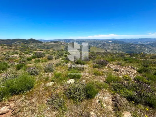 Terreno Urbano T0 - Provesende, Sabrosa, Vila Real