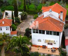 Quinta T6 - Pombeiro da Beira, Arganil, Coimbra - Miniatura: 1/33