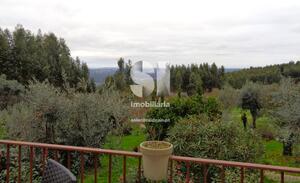 Quinta T6 - Pombeiro da Beira, Arganil, Coimbra - Miniatura: 8/33