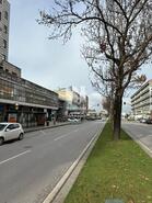 Escritrio - Coimbra, Coimbra, Coimbra - Miniatura: 6/8