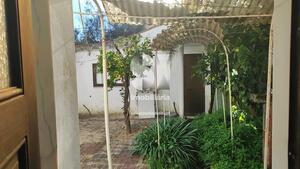Moradia T6 - Atalaia, Vila Nova da Barquinha, Santarm - Miniatura: 23/24