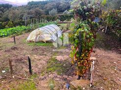 Terreno Rstico - Vila Real, Vila Real, Vila Real - Miniatura: 10/26
