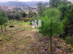 Terreno Rstico - Vila Real, Vila Real, Vila Real - Miniatura: 19/26
