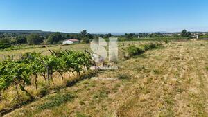 Terreno Rstico - So Martinho de Antas e Paradela de Guies, Sabrosa, Vila Real - Miniatura: 2/21