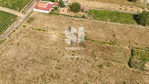 Terreno Rstico - So Martinho de Antas e Paradela de Guies, Sabrosa, Vila Real - Miniatura: 14/21