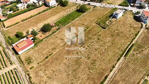 Terreno Rstico - So Martinho de Antas e Paradela de Guies, Sabrosa, Vila Real - Miniatura: 16/21