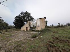 Terreno Rstico - Oliveira do Mondego, Penacova, Coimbra - Miniatura: 3/7