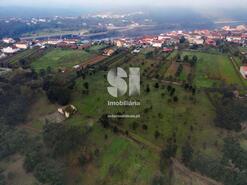 Terreno Rstico - Oliveira do Mondego, Penacova, Coimbra - Miniatura: 5/7