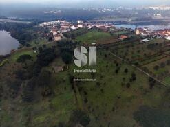 Terreno Rstico - Oliveira do Mondego, Penacova, Coimbra - Miniatura: 7/7