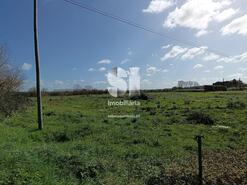 Terreno R�stico - Vieira de Leiria, Marinha Grande, Leiria - Miniatura: 2/5