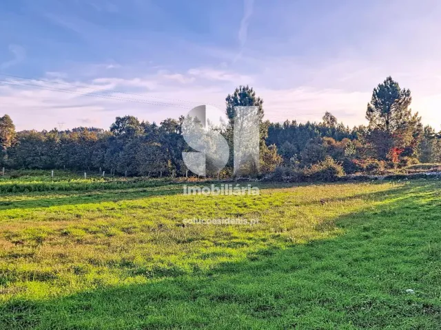 Terreno Urbano T0 - Gandra, Paredes, Porto - Miniatura: 19/30