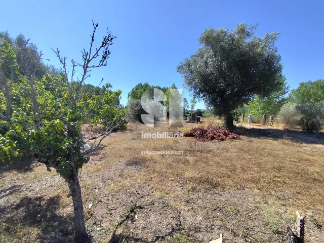 Moradia T3 - Mealhada, Mealhada, Aveiro - Miniatura: 18/29