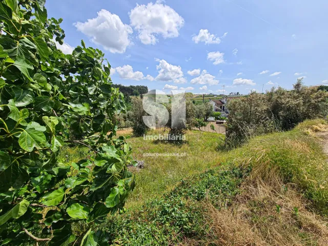 Terreno Urbano T0 - Fragosela, Viseu, Viseu - Miniatura: 3/16