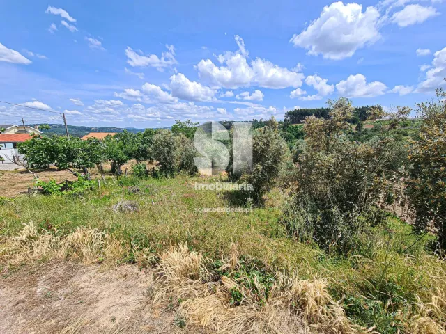 Terreno Urbano T0 - Fragosela, Viseu, Viseu - Miniatura: 10/16