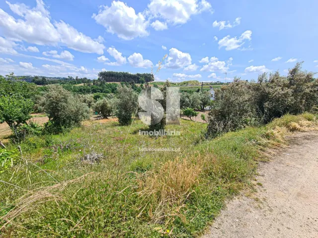 Terreno Urbano T0 - Fragosela, Viseu, Viseu - Miniatura: 13/16