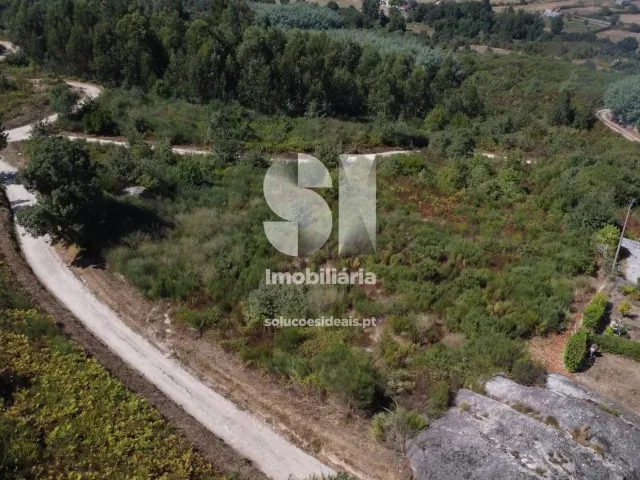 Terreno R�stico T0 - Bobadela, Oliveira do Hospital, Coimbra - Miniatura: 2/2