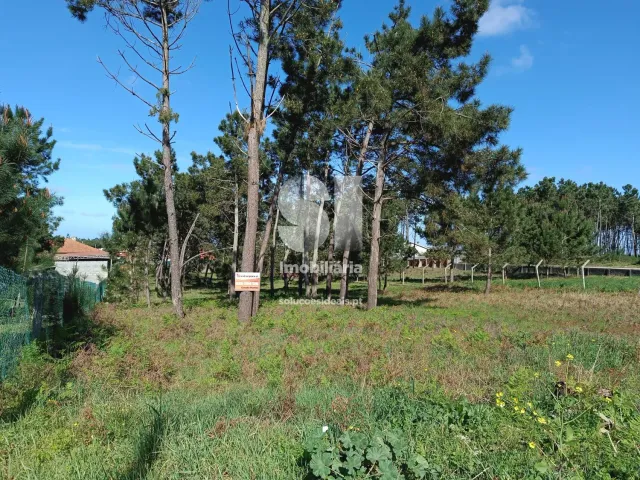 Terreno Urbano T0 - Vieira de Leiria, Marinha Grande, Leiria - Miniatura: 2/7