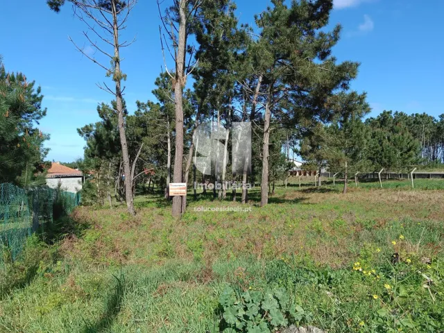 Terreno Urbano T0 - Vieira de Leiria, Marinha Grande, Leiria - Miniatura: 3/7