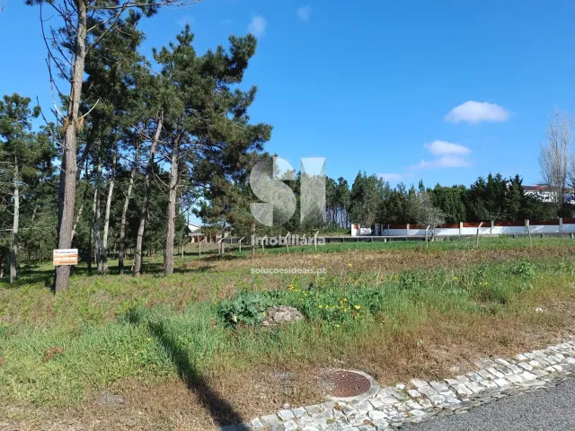Terreno Urbano T0 - Vieira de Leiria, Marinha Grande, Leiria - Miniatura: 6/7