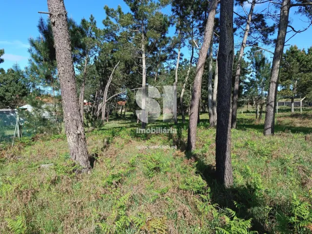 Terreno Urbano T0 - Vieira de Leiria, Marinha Grande, Leiria - Miniatura: 7/7