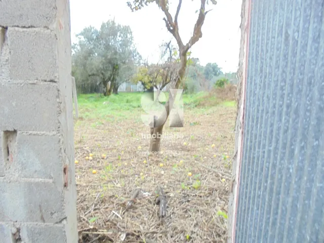 Moradia T1 - Arrifana, Vila Nova de Poiares, Coimbra - Miniatura: 11/48