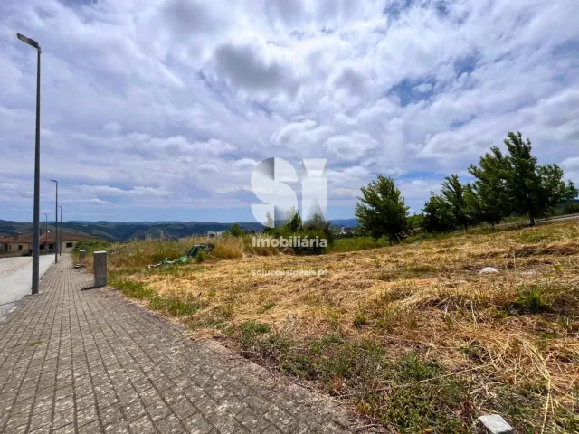 Terreno Urbano T0 - Sabrosa, Sabrosa, Vila Real - Miniatura: 11/16