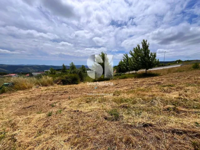 Terreno Urbano T0 - Sabrosa, Sabrosa, Vila Real - Miniatura: 13/16