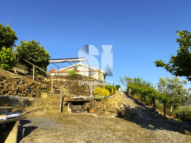 Moradia T3 - Covas do Douro, Sabrosa, Vila Real - Miniatura: 28/33