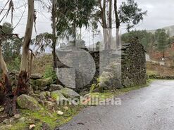 Terreno R�stico T0 - Covelo de Paiv�, Arouca, Aveiro - Miniatura: 2/5