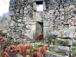 Terreno R�stico T0 - Covelo de Paiv�, Arouca, Aveiro - Miniatura: 3/5