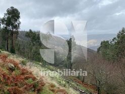 Terreno R�stico T0 - Covelo de Paiv�, Arouca, Aveiro - Miniatura: 4/5