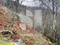 Terreno R�stico T0 - Covelo de Paiv�, Arouca, Aveiro - Miniatura: 5/5