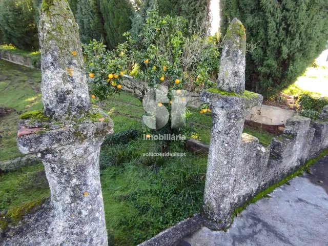 Quinta T0 - Arcos, Anadia, Aveiro - Miniatura: 17/36