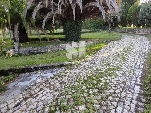 Quinta T0 - Arcos, Anadia, Aveiro - Miniatura: 19/36