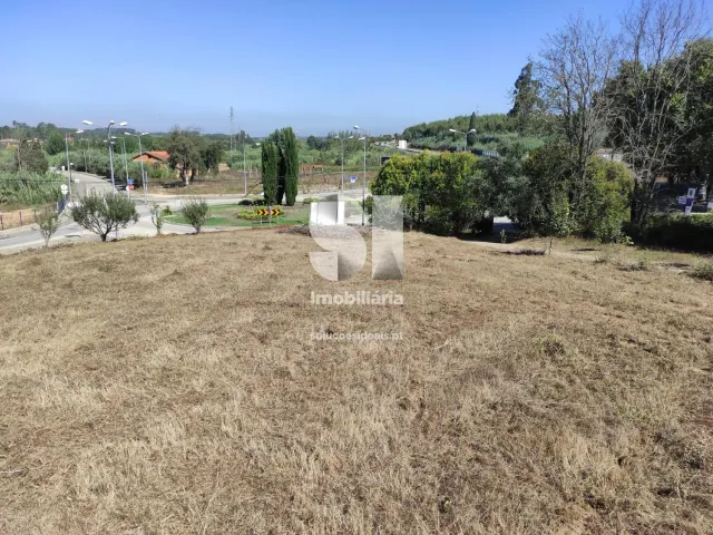 Quinta T0 - Arcos, Anadia, Aveiro - Miniatura: 28/36