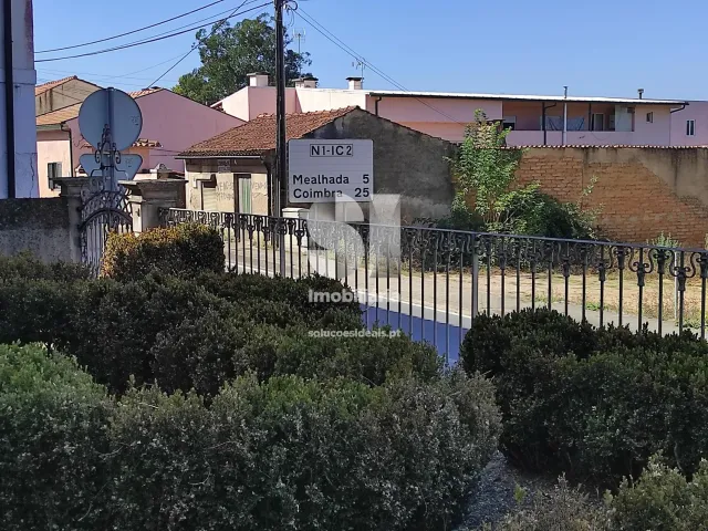 Quinta T0 - Arcos, Anadia, Aveiro - Miniatura: 34/36