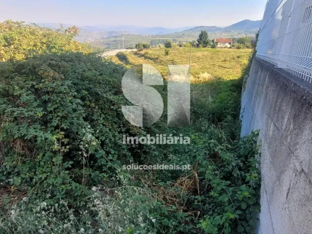 Terreno Urbano T0 - Sabrosa, Sabrosa, Vila Real - Miniatura: 3/11