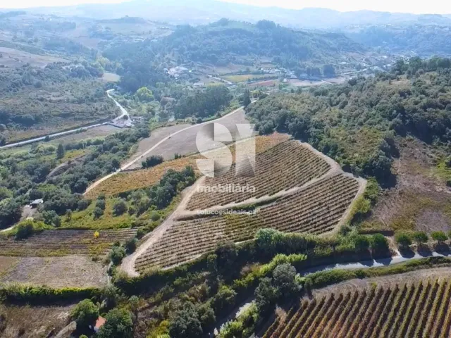 Terreno R�stico T0 - Dois Portos, Torres Vedras, Lisboa - Miniatura: 2/8