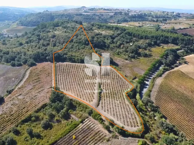 Terreno R�stico T0 - Dois Portos, Torres Vedras, Lisboa - Miniatura: 5/8