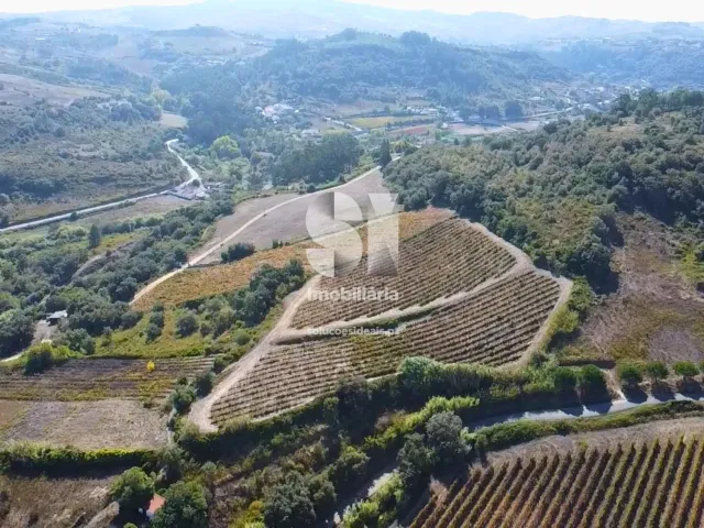 Terreno R�stico T0 - Dois Portos, Torres Vedras, Lisboa - Miniatura: 6/8
