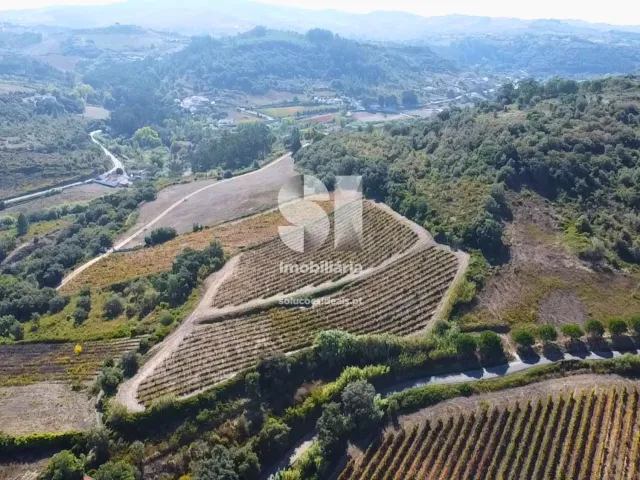 Terreno R�stico T0 - Dois Portos, Torres Vedras, Lisboa - Miniatura: 7/8