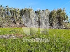 Moradia T2 - Silveira, Torres Vedras, Lisboa - Miniatura: 4/24