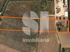 Moradia T2 - Silveira, Torres Vedras, Lisboa - Miniatura: 7/24