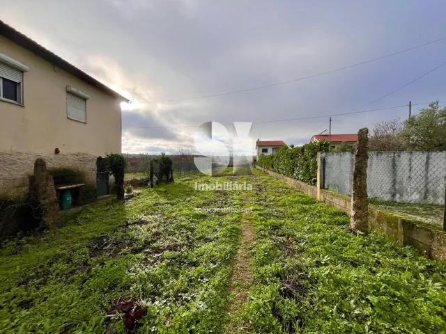 Terreno Urbano T0 - Pa�os, Sabrosa, Vila Real - Miniatura: 8/33