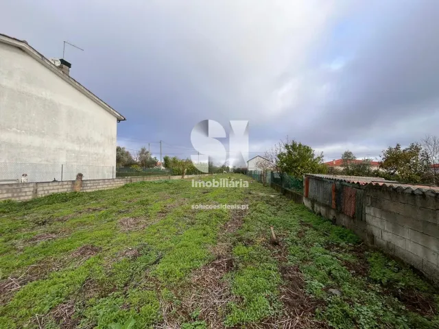 Terreno Urbano T0 - Pa�os, Sabrosa, Vila Real - Miniatura: 13/33