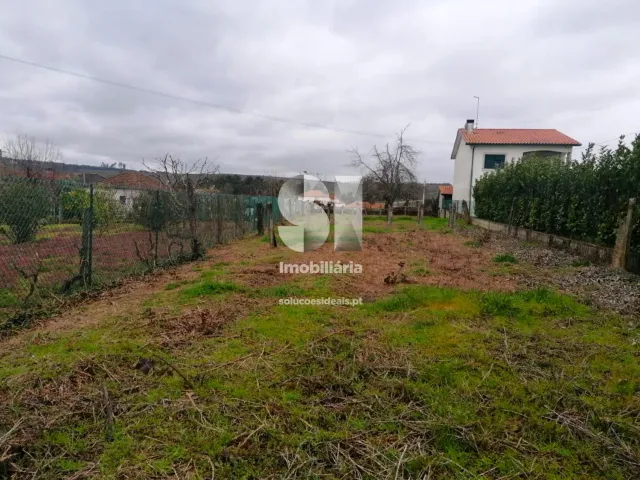 Terreno Urbano T0 - Pa�os, Sabrosa, Vila Real - Miniatura: 17/33
