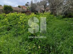 Terreno Urbano T0 - Tamengos, Anadia, Aveiro - Miniatura: 3/5
