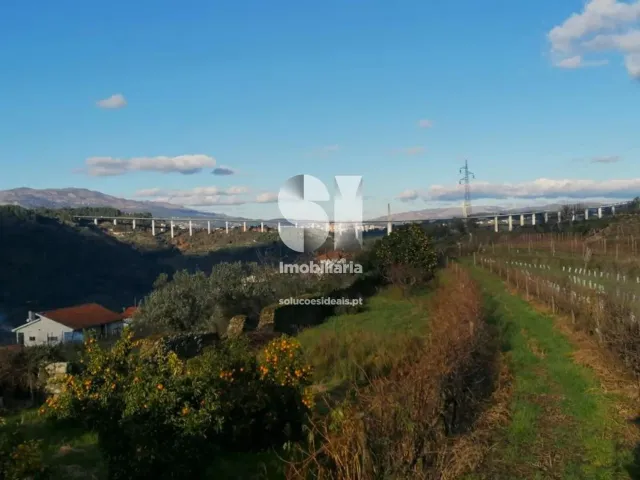 Quinta T0 - Cumieira, Santa Marta de Penagui�o, Vila Real - Miniatura: 42/44