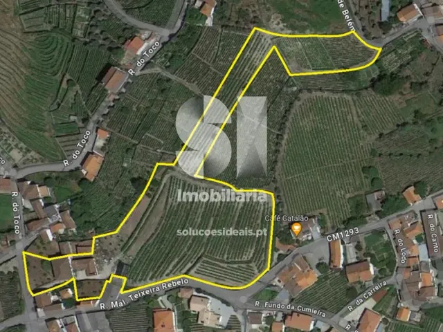 Quinta T0 - Cumieira, Santa Marta de Penagui�o, Vila Real - Miniatura: 44/44