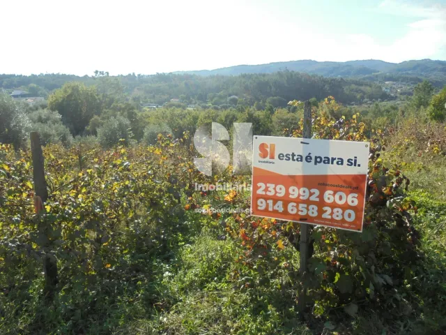 Terreno Urbano T0 - Poiares (Santo Andr�), Vila Nova de Poiares, Coimbra - Miniatura: 4/11